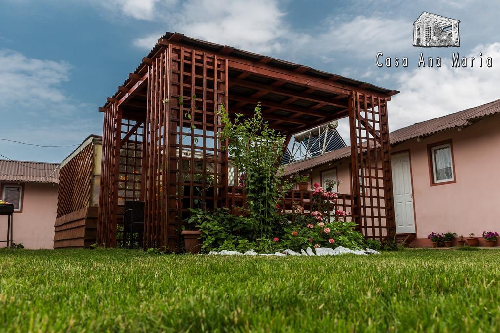 Casa Ana Maria Vama Veche Exterior foto