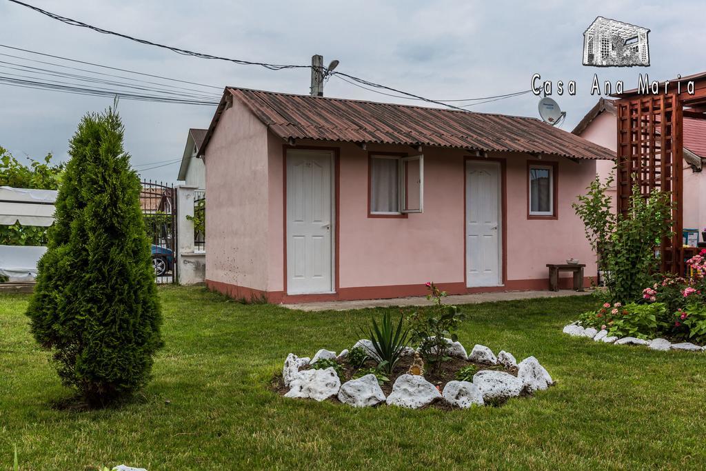 Casa Ana Maria Vama Veche Exterior foto