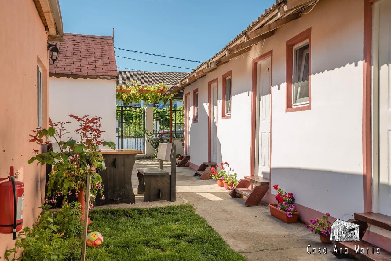 Casa Ana Maria Vama Veche Exterior foto
