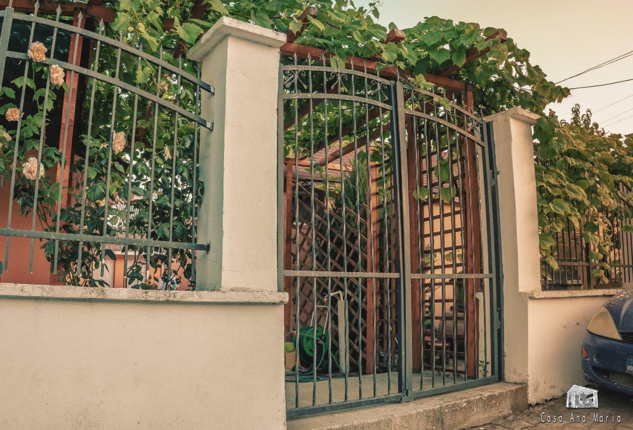 Casa Ana Maria Vama Veche Exterior foto